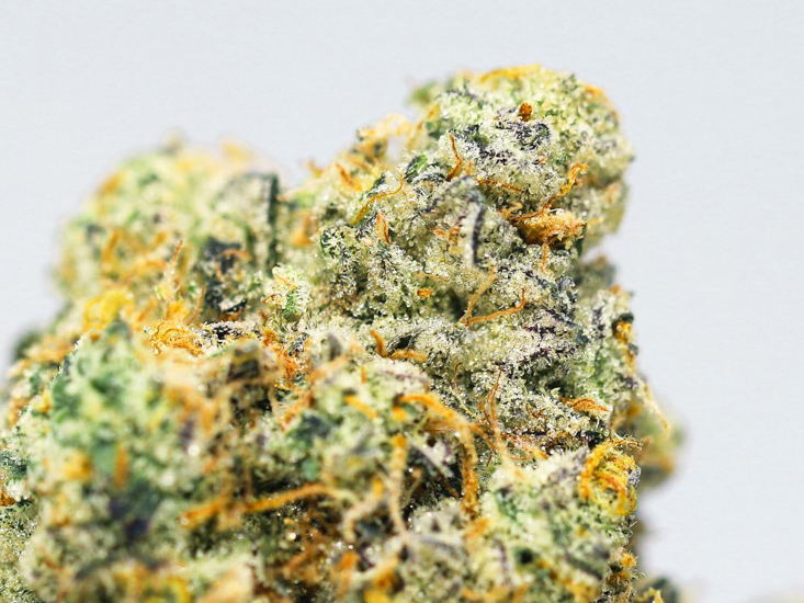 triangle mints close up.jpg triangle mints close up.jpg