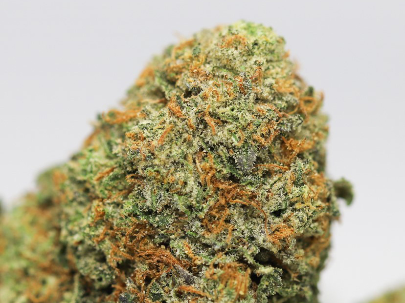 tuna kush close up 1.jpg tuna kush close up 1.jpg