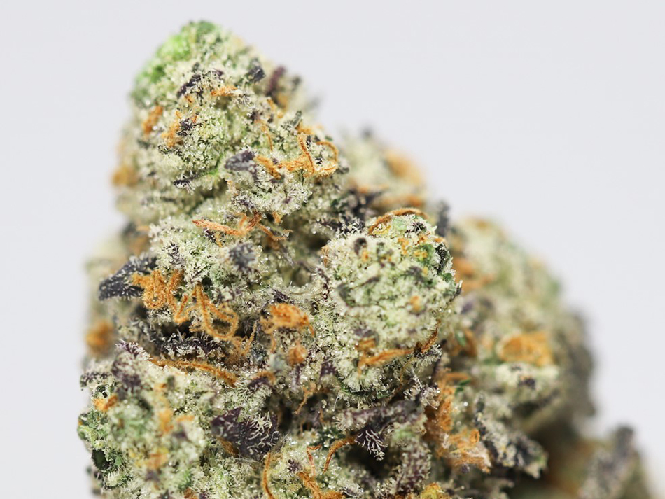 ultra pink kush close up.jpg ultra pink kush close up.jpg