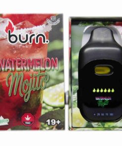 watermelon mojito front scaled 1.jpg