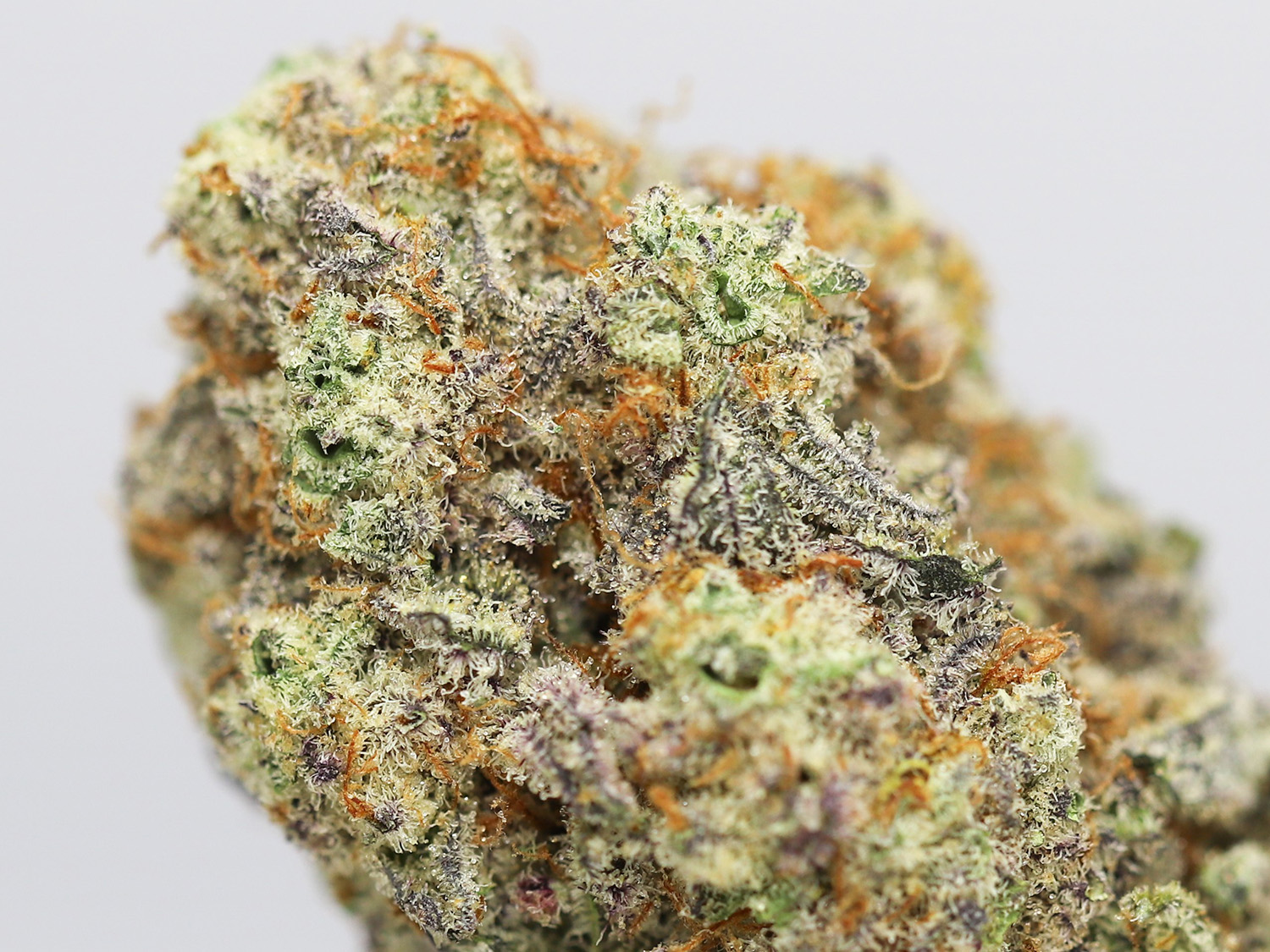 watermelon zkittlez close up.jpg watermelon zkittlez close up.jpg