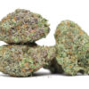 White Rhino AA 2 white rhino aa restock.jpg