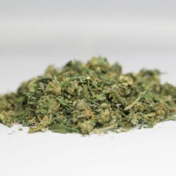 white widow shake scaled 1.jpg
