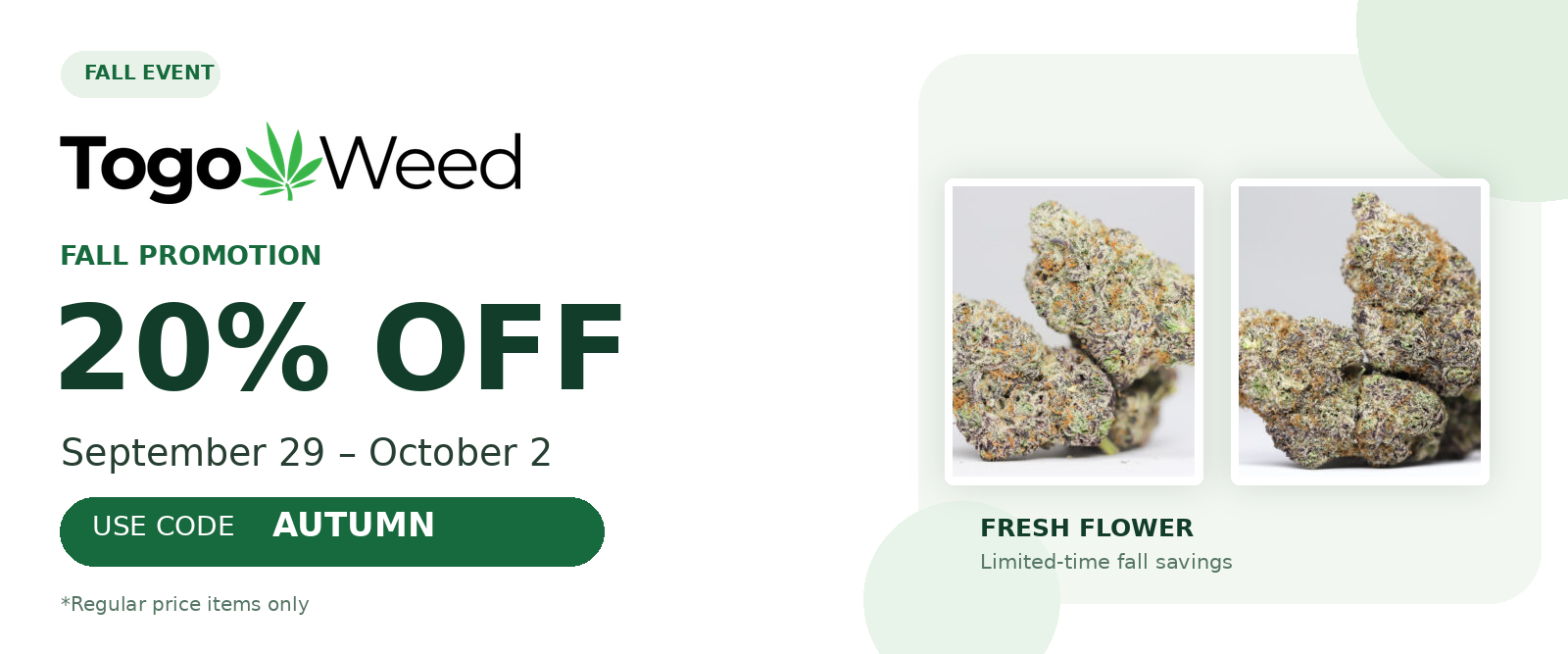 TO GO Fall Promotion Banner