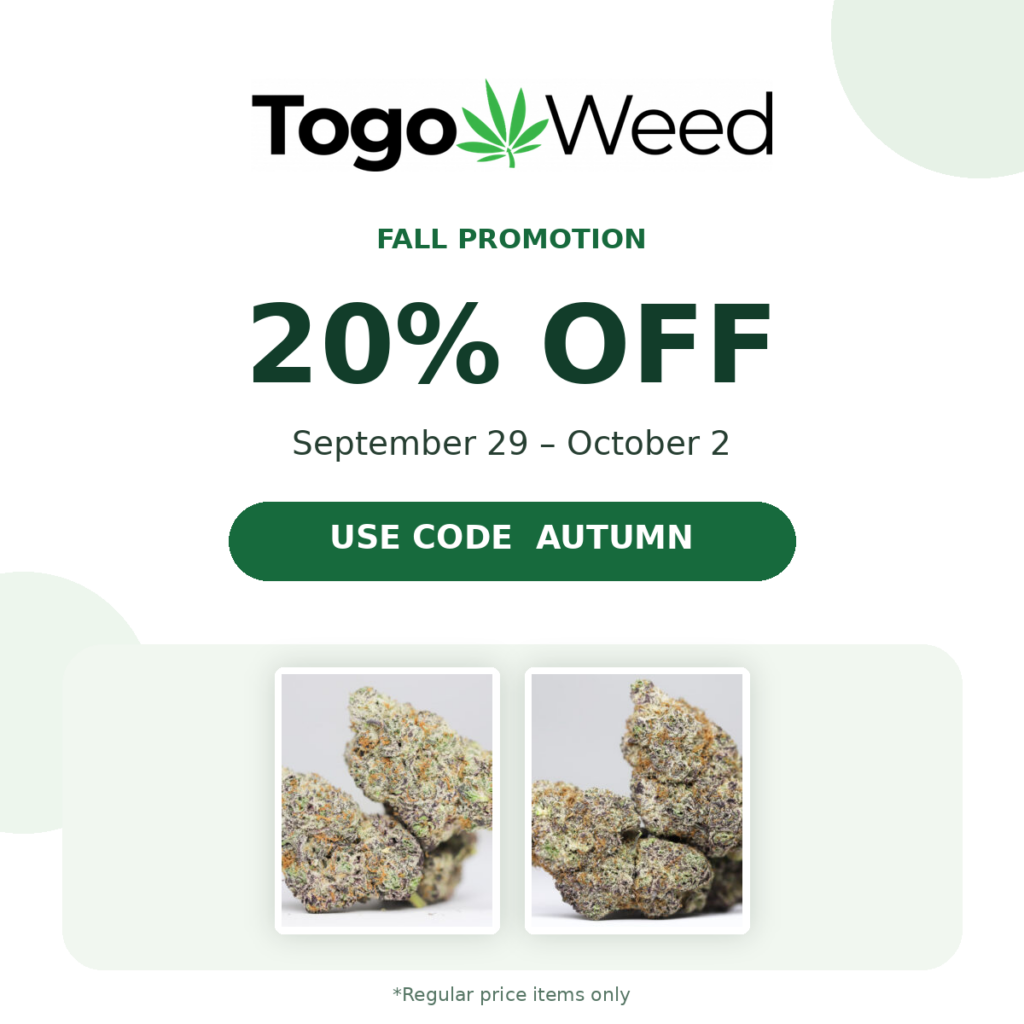 TO GO Fall Promotion Mobile 1200x1200