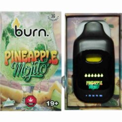 pineapple mojito front scaled 1.jpg