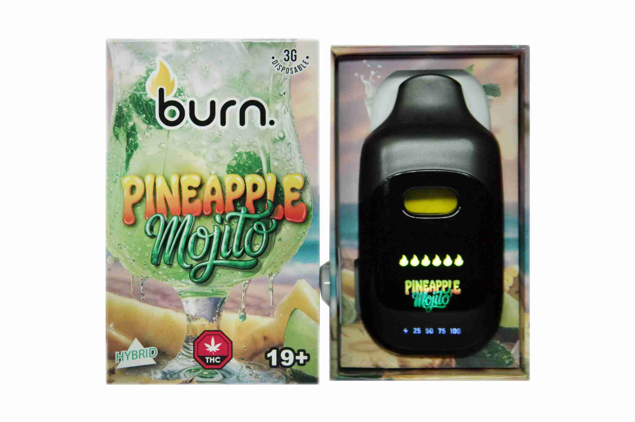 pineapple mojito front scaled 1.jpg pineapple mojito front scaled 1.jpg