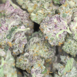 AAAA+ small buds Peach Gelato