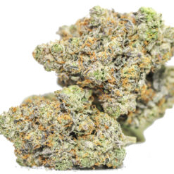 White Death AAA (restock)